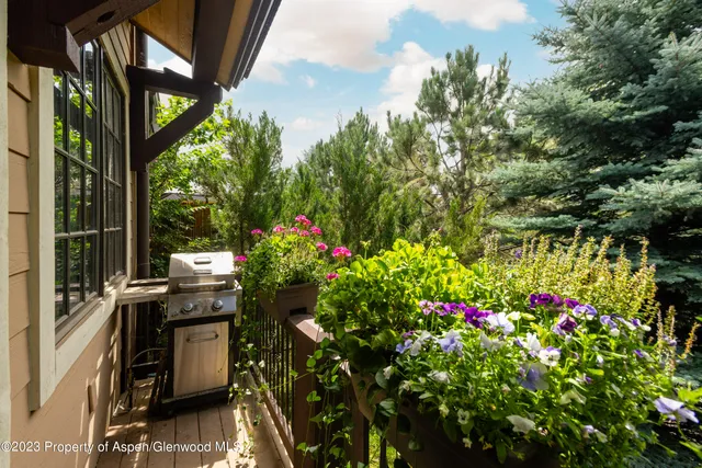 a backyard of a house with lots of green space and fountain