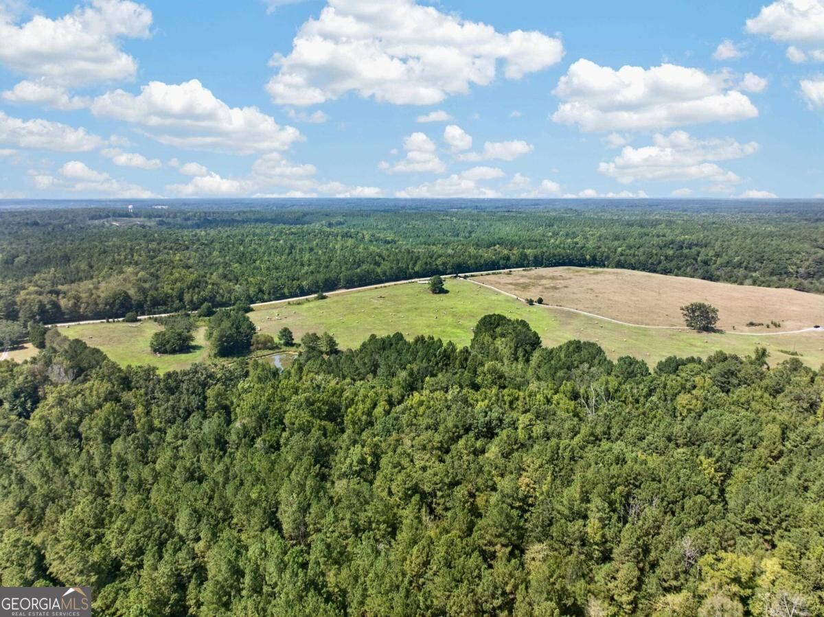 252 Parks Mill Road Buckhead, GA 30625 - Photo 7 of 19 Gallery Image 7