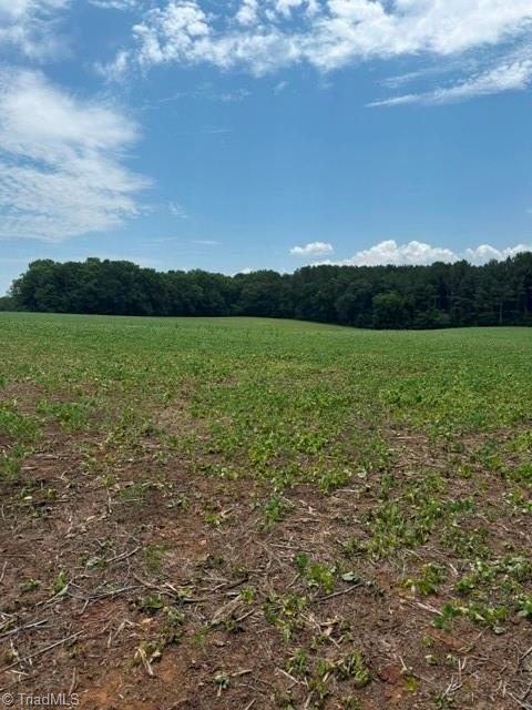 0 Friendship Circle Road East Bend, NC 27018 - Photo 3 of 10