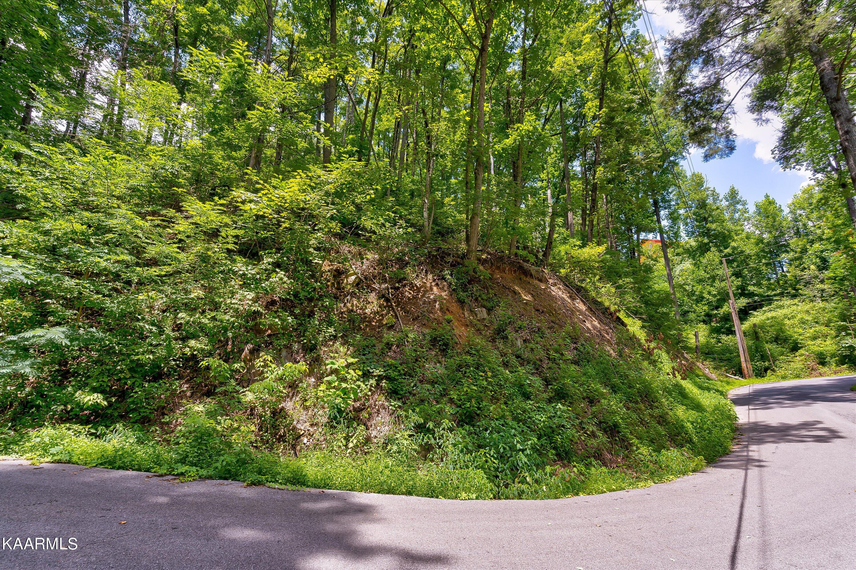 Lot 510 Crooked Ridge Road Gatlinburg, TN 37738 - Photo 1 of 30 30-Crooked Ridge Rd Lot 510-30