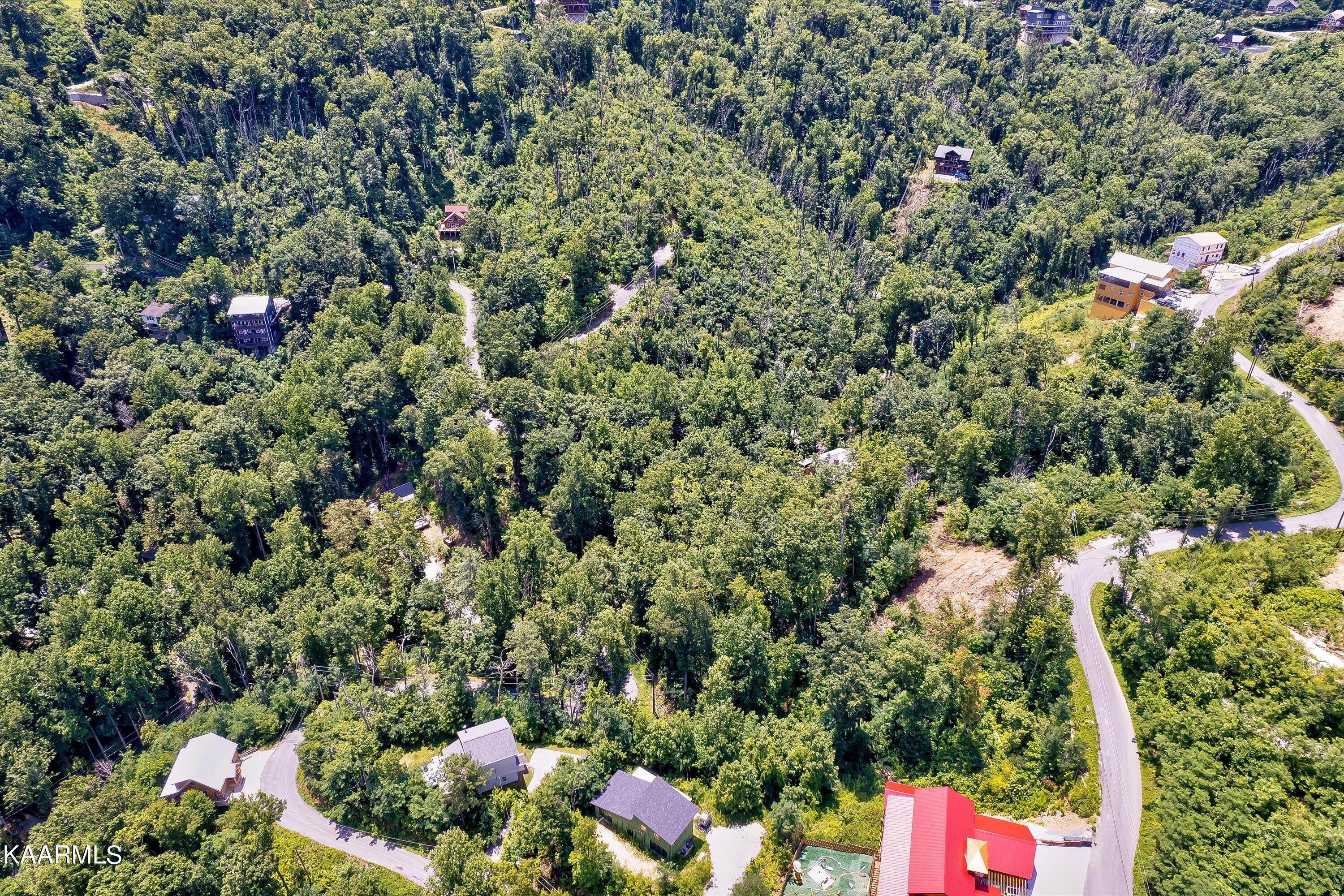 Lot 510 Crooked Ridge Road Gatlinburg, TN 37738 - Photo 10 of 30 06-Crooked Ridge Rd Lot 510-6