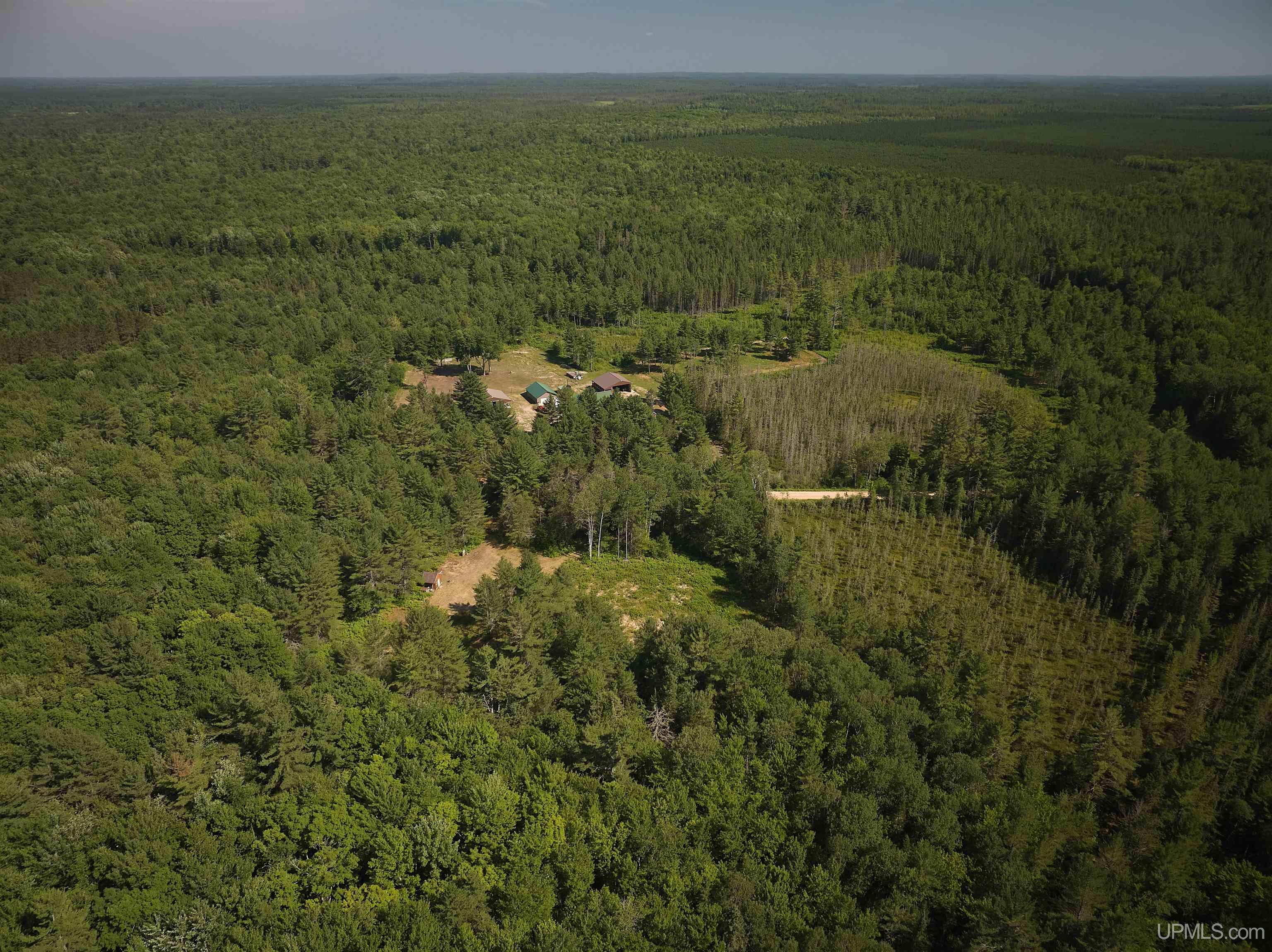 7806 Doe Lake Road Munising, MI 49862 - Photo 4 of 26