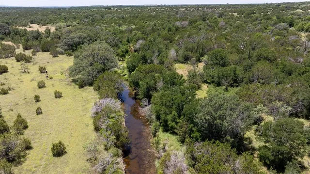 a view of a forest with a street