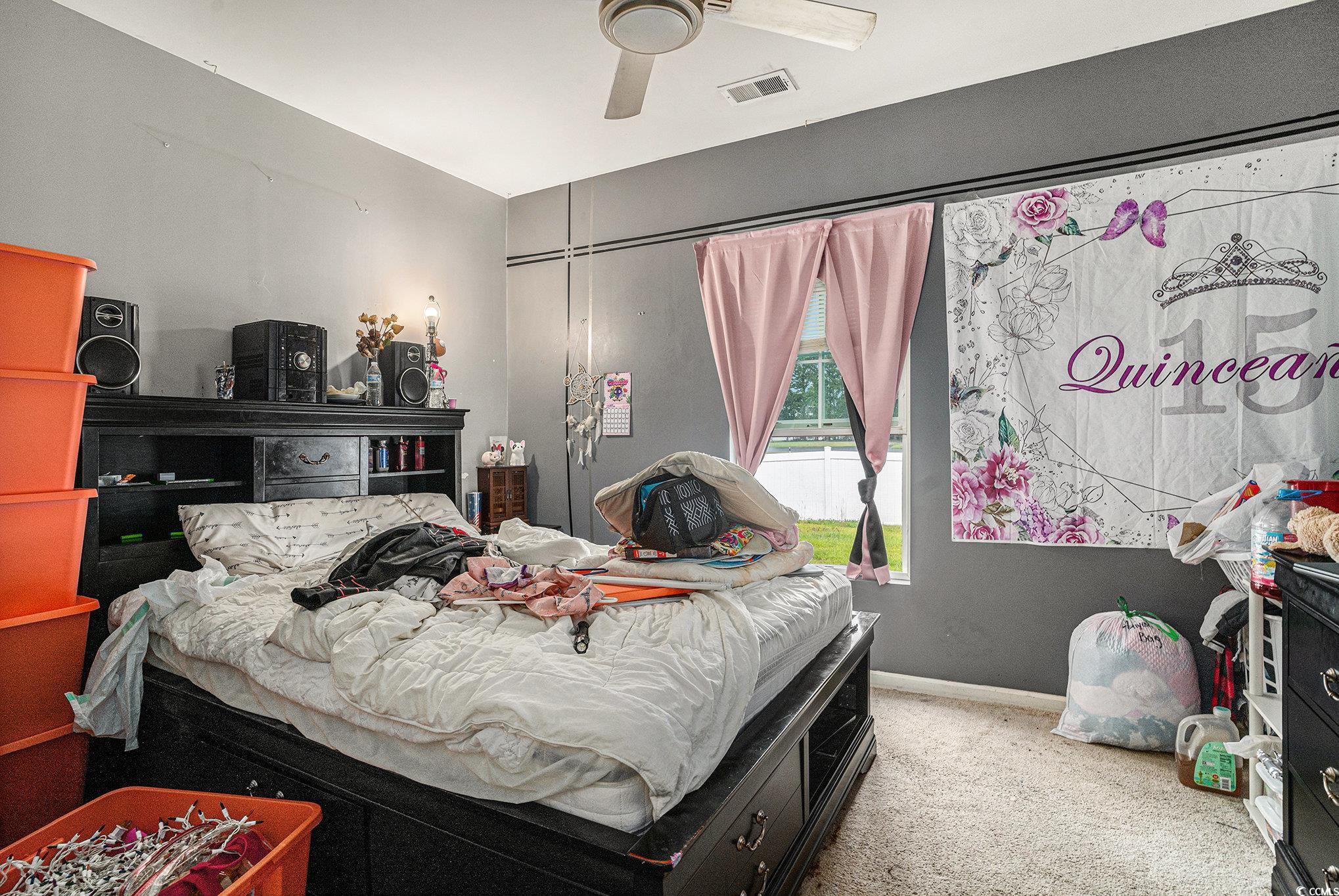 2059 Borgata Loop Longs, SC 29568 - Photo 21 of 34 Bedroom with carpet, a ceiling fan, and baseboards