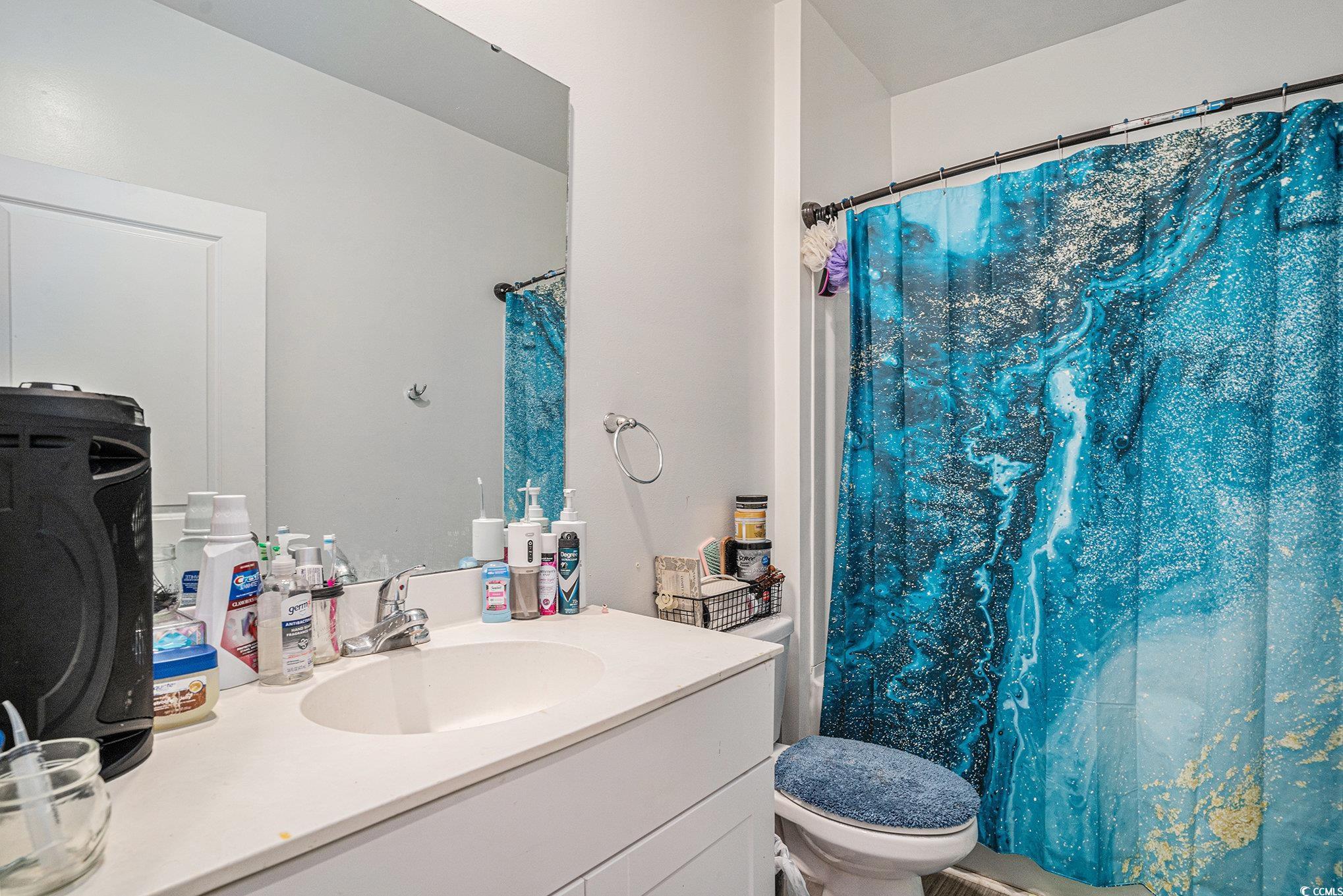 2059 Borgata Loop Longs, SC 29568 - Photo 22 of 34 Bathroom with toilet, vanity, and a shower with sh
