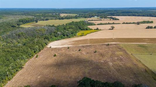 5-ac - B 5-ac - B Mcphail Farm Road Florala, AL 36442 - Photo 13 of 14 a view of outdoor space and city view