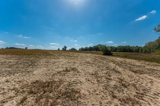 $38,000 | 5-ac - B 5-ac - B Mcphail Farm Road, Florala, AL 36442