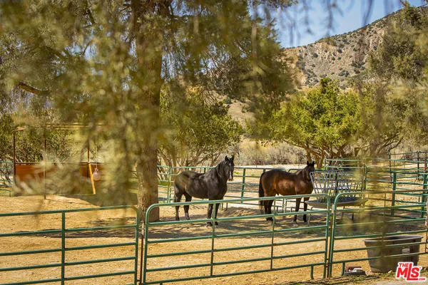 $4,250,000 | 29433 Highway 33, Maricopa, CA 93252