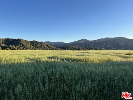 $4,250,000 | 29433 Highway 33, Maricopa, CA 93252