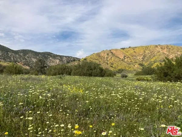 $4,250,000 | 29433 Highway 33, Maricopa, CA 93252