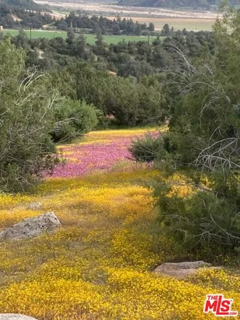 $4,250,000 | 29433 Highway 33, Maricopa, CA 93252