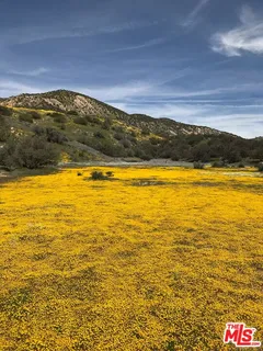 $4,250,000 | 29433 Highway 33, Maricopa, CA 93252