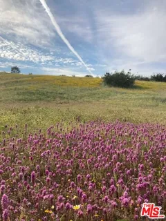 $4,250,000 | 29433 Highway 33, Maricopa, CA 93252