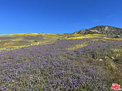 $4,250,000 | 29433 Highway 33, Maricopa, CA 93252