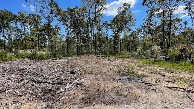 a view of a yard with plants and trees