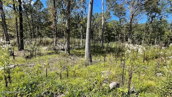 a view of backyard with green space