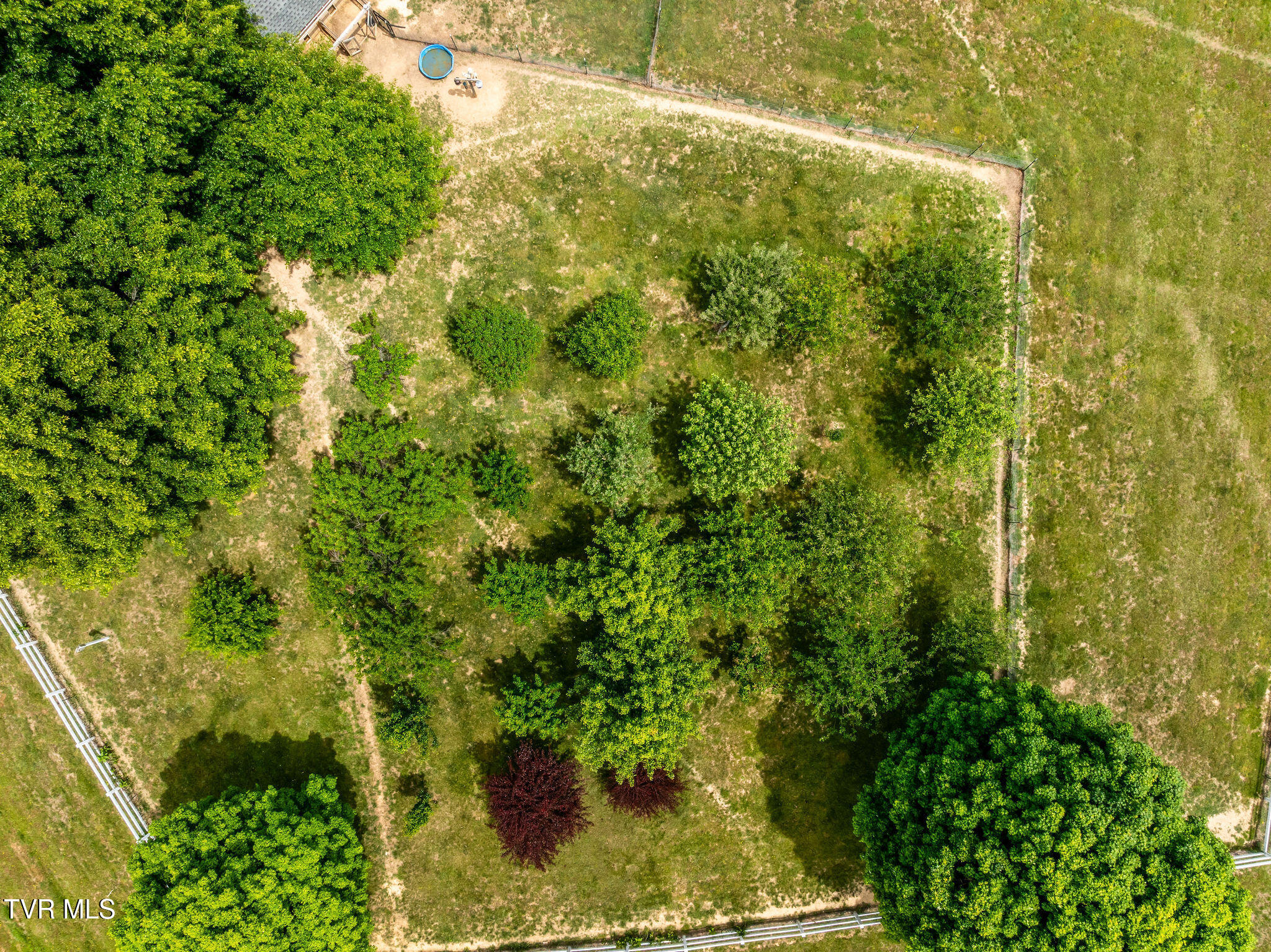 1385 Wilhoit Road Chuckey, TN 37641 - Photo 114 of 126 DJI_0185