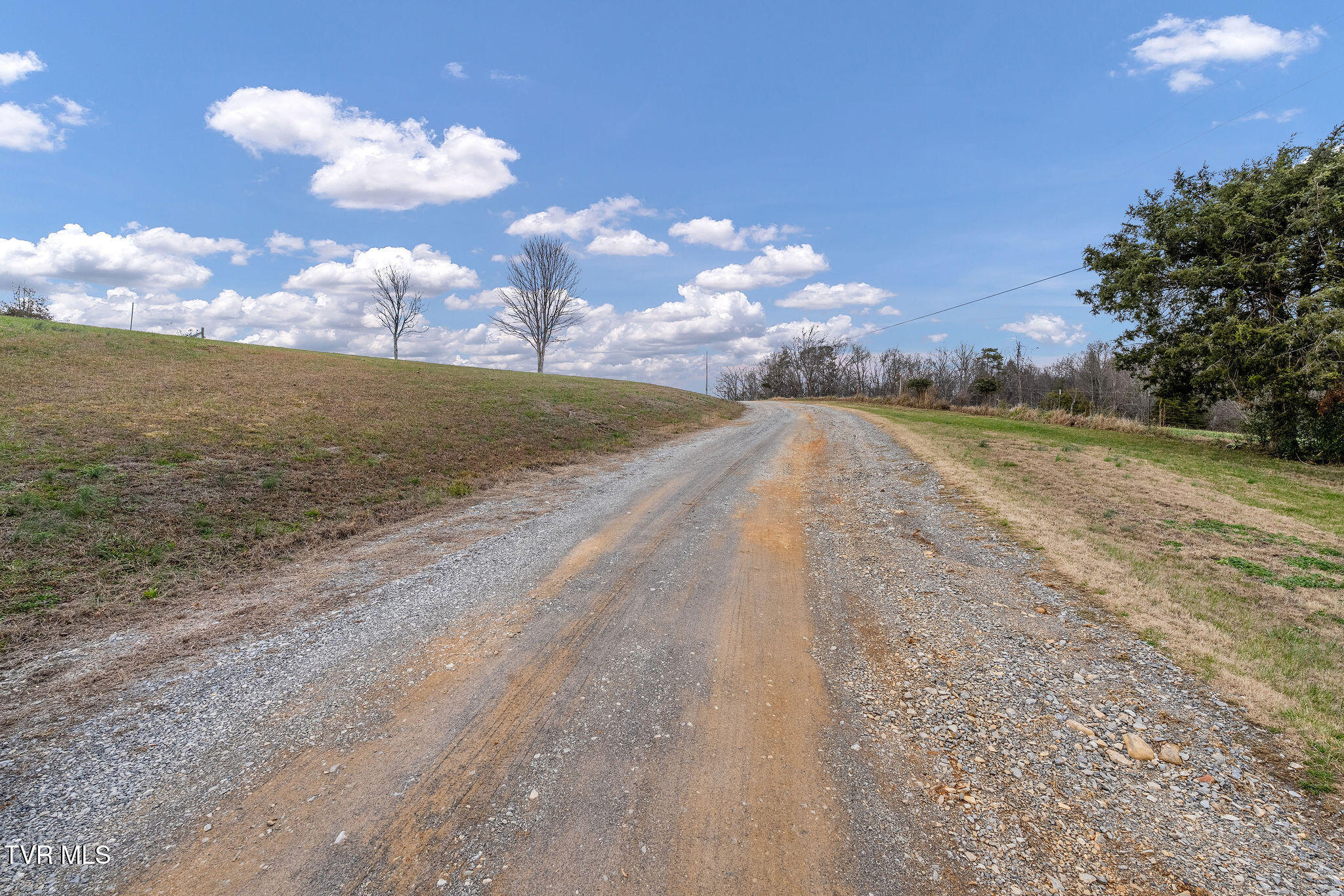 1385 Wilhoit Road Chuckey, TN 37641 - Photo 120 of 135 DSC04045