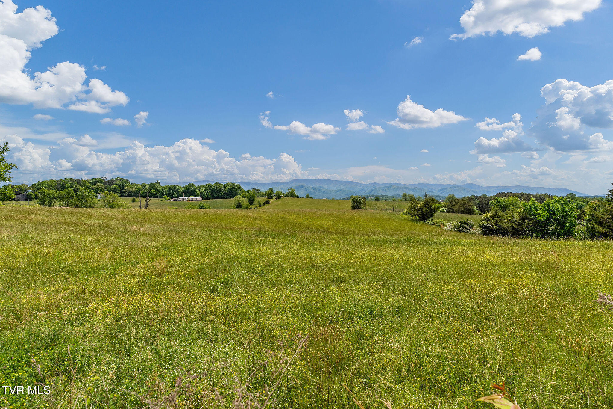 1385 Wilhoit Road Chuckey, TN 37641 - Photo 121 of 126 DSC08893