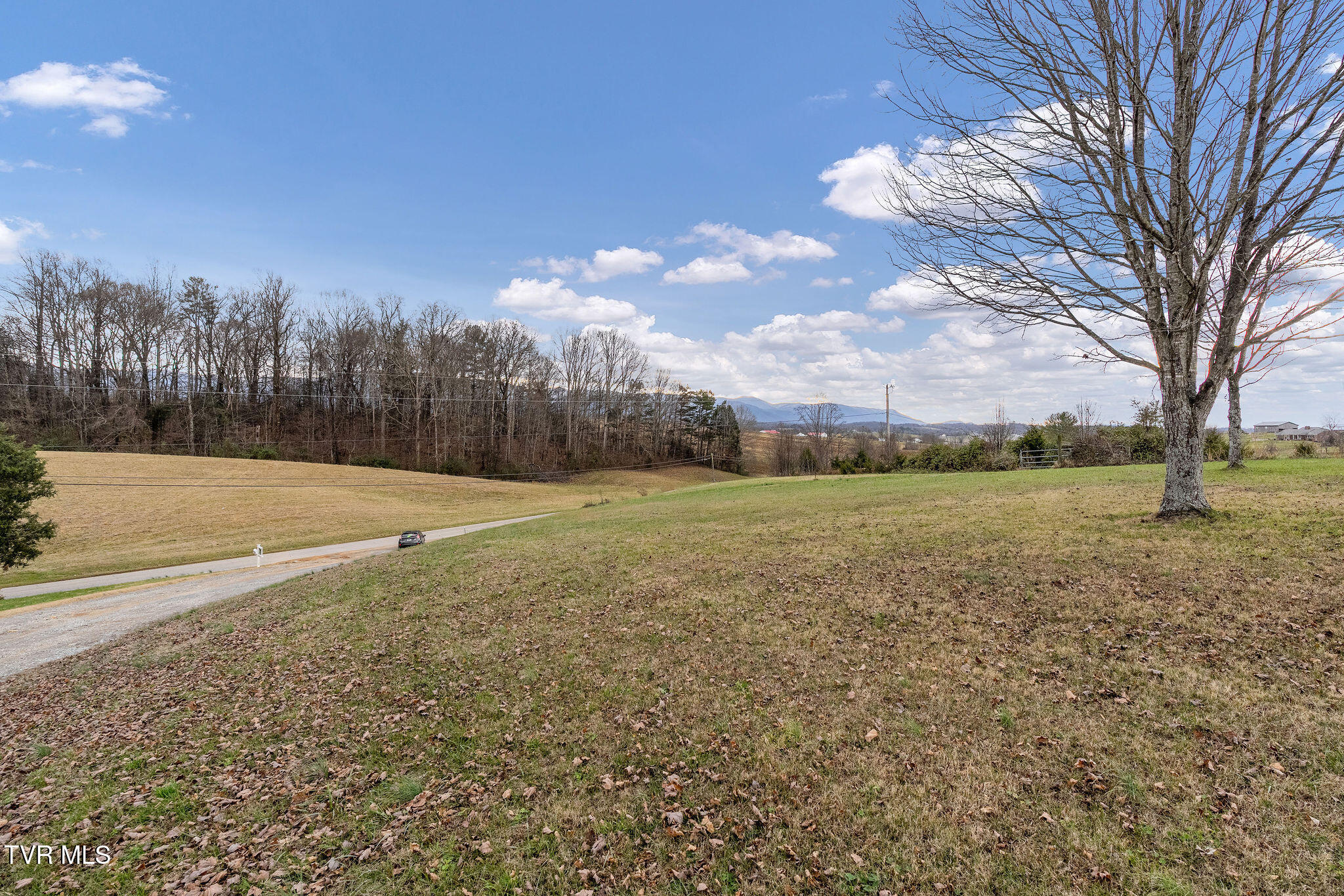 1385 Wilhoit Road Chuckey, TN 37641 - Photo 121 of 134 DSC04049