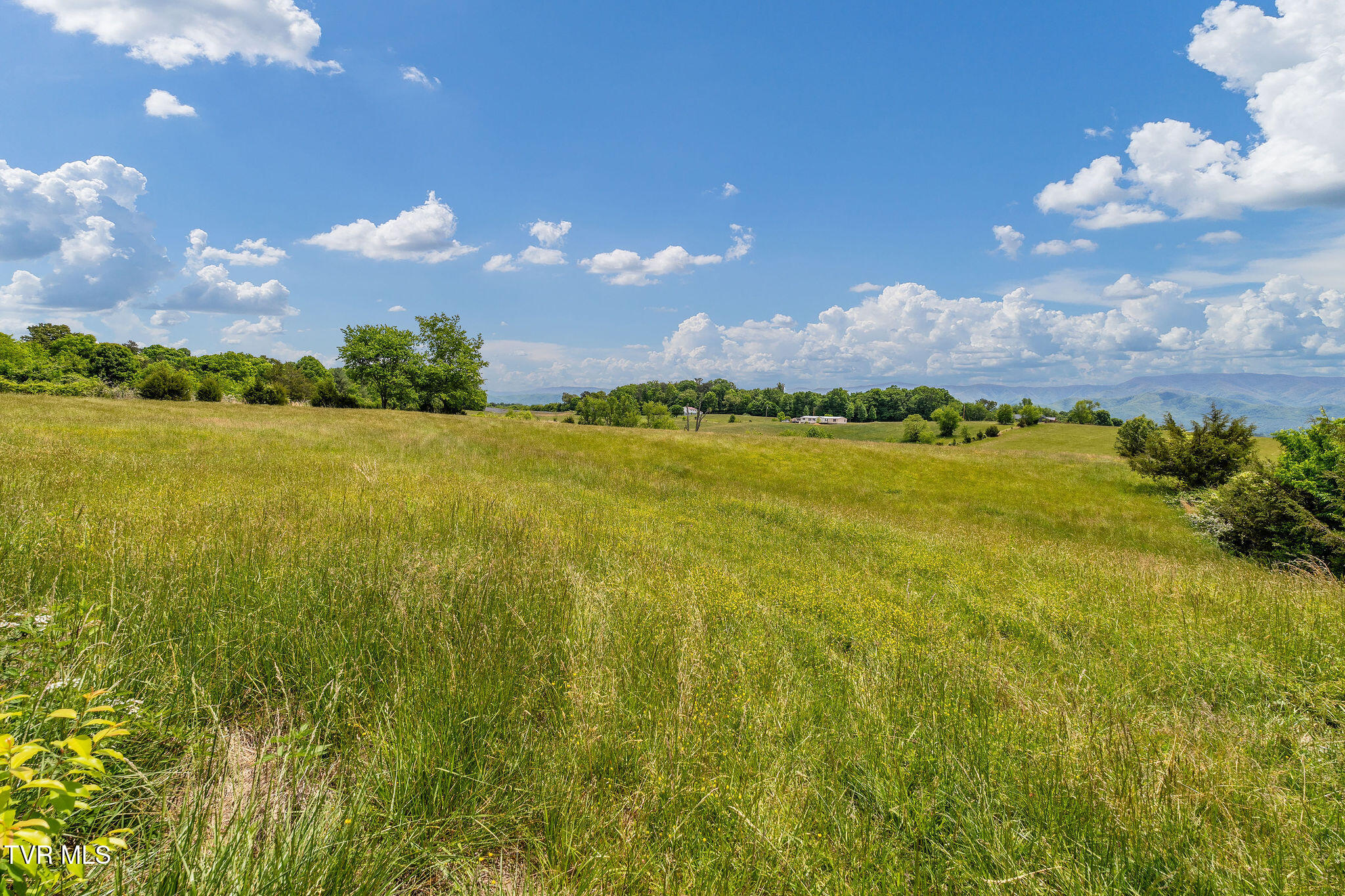 1385 Wilhoit Road Chuckey, TN 37641 - Photo 122 of 126 DSC08892