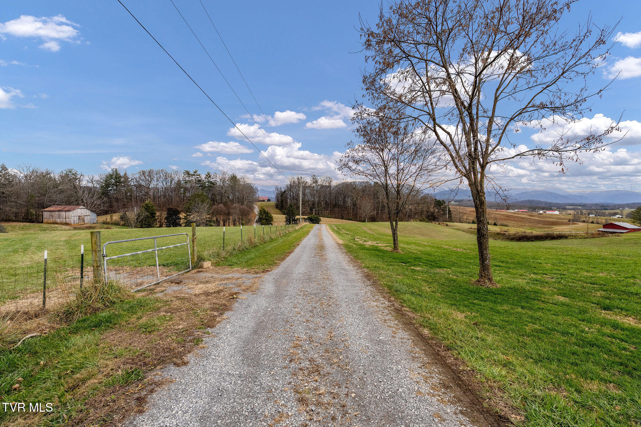 1385 Wilhoit Road Chuckey, TN 37641 - Photo 123 of 134 DSC04051