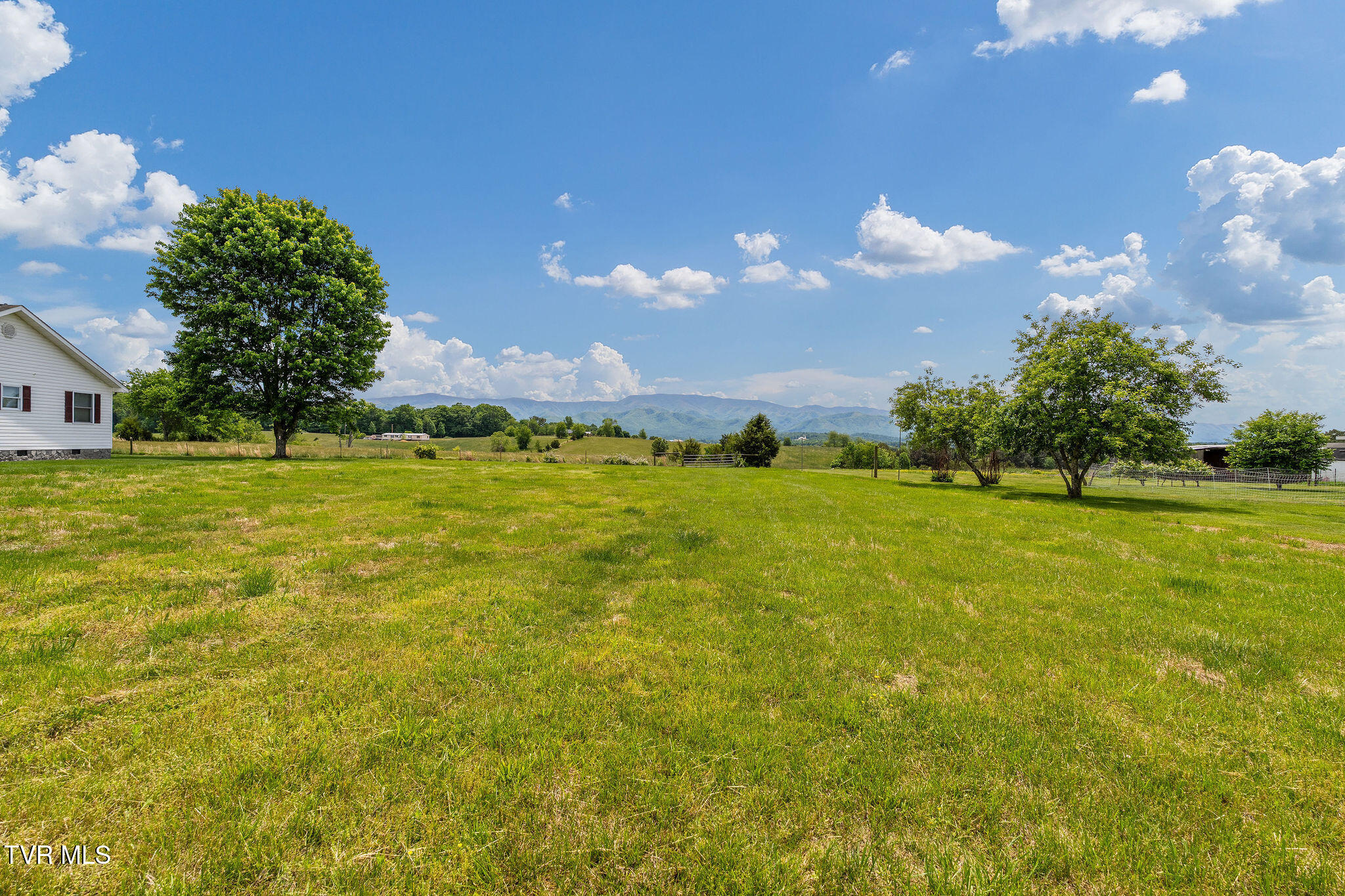 1385 Wilhoit Road Chuckey, TN 37641 - Photo 123 of 126 DSC08891