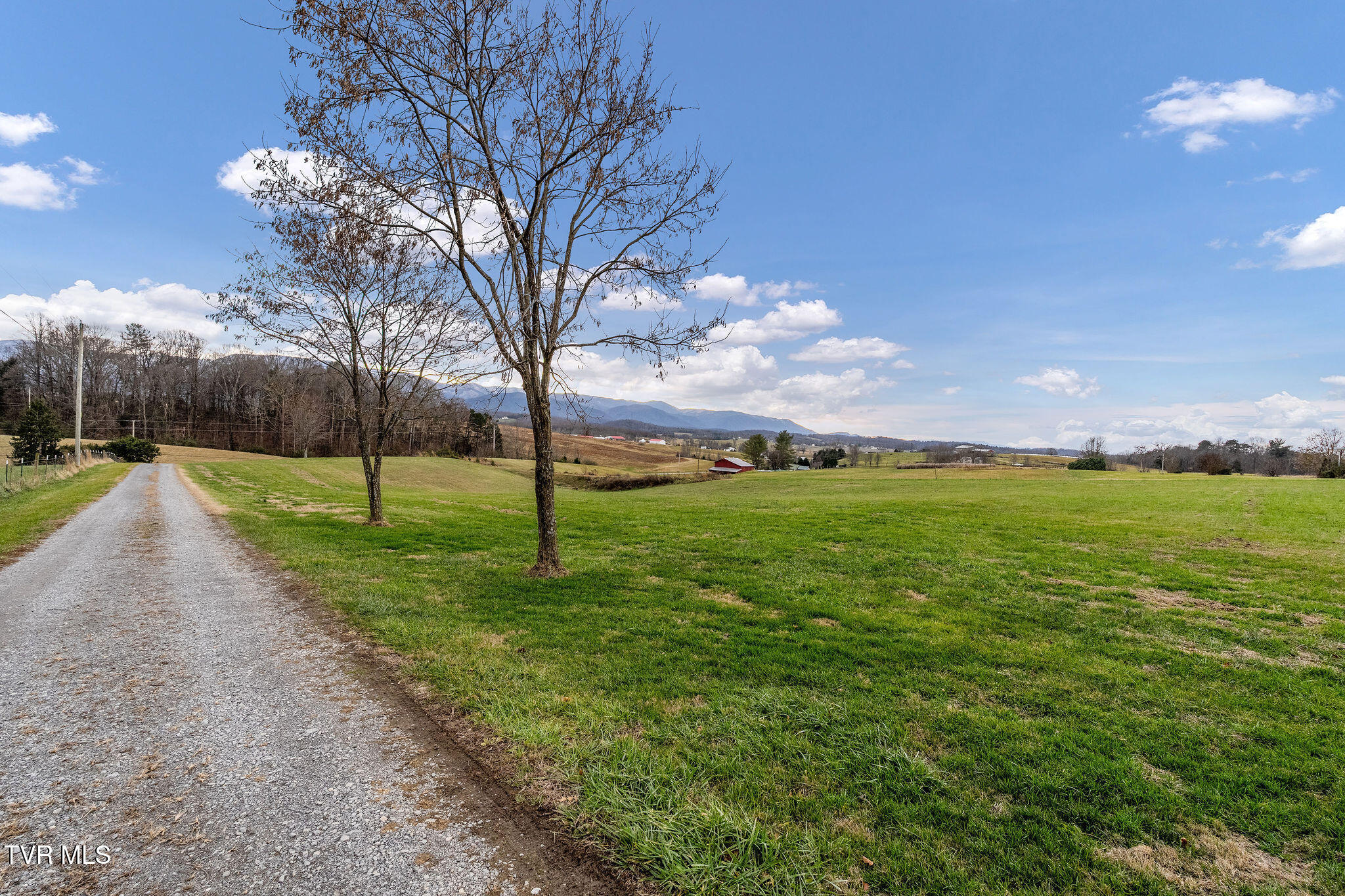 1385 Wilhoit Road Chuckey, TN 37641 - Photo 125 of 135 DSC04053