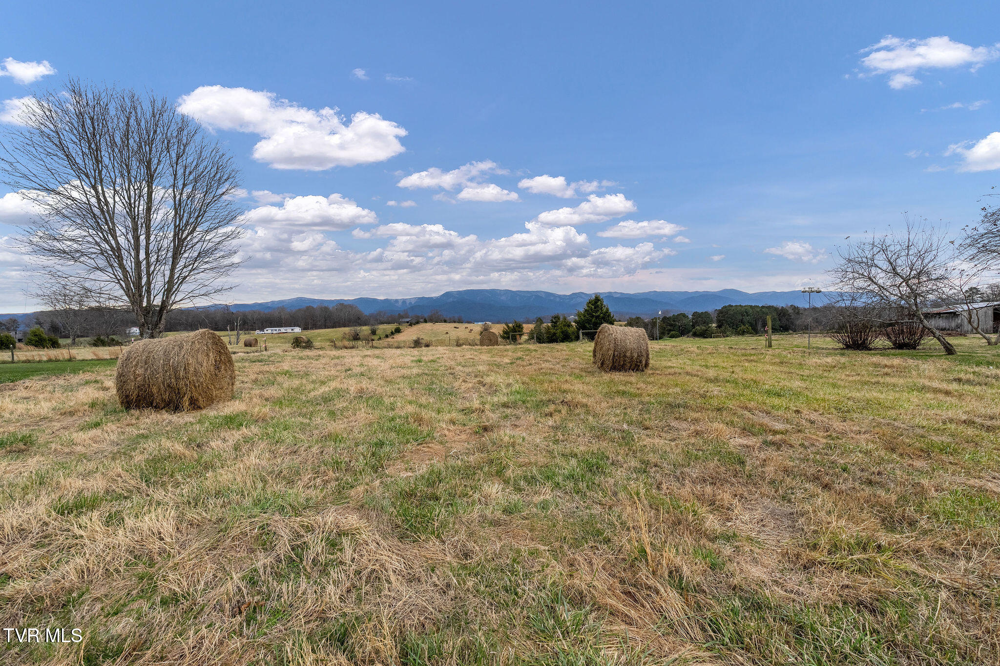 1385 Wilhoit Road Chuckey, TN 37641 - Photo 130 of 135 DSC04138