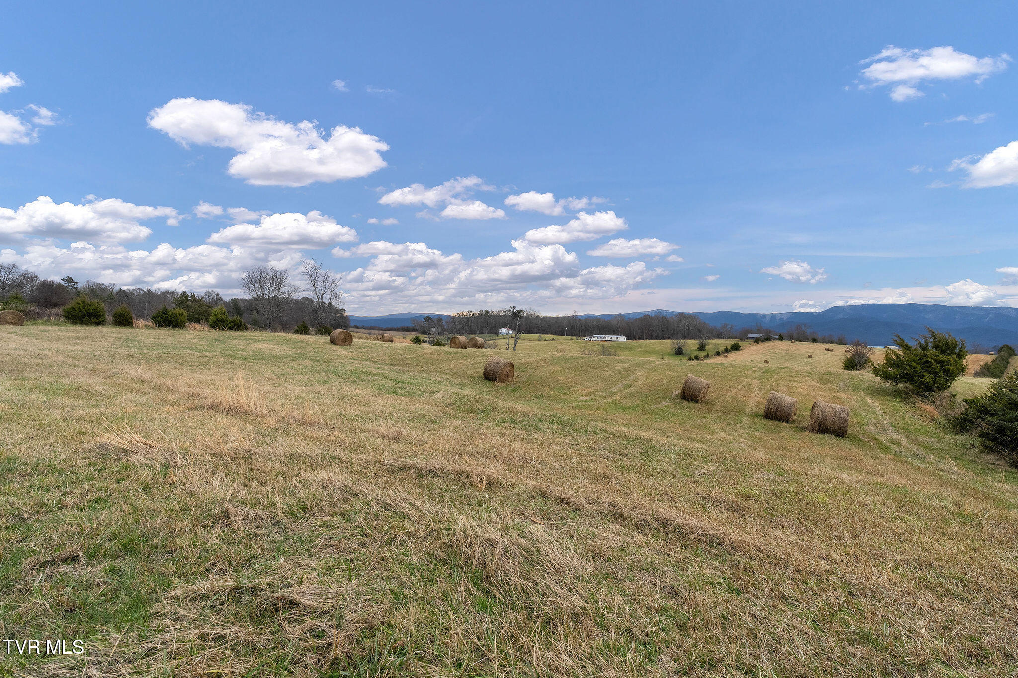1385 Wilhoit Road Chuckey, TN 37641 - Photo 132 of 135 DSC04140