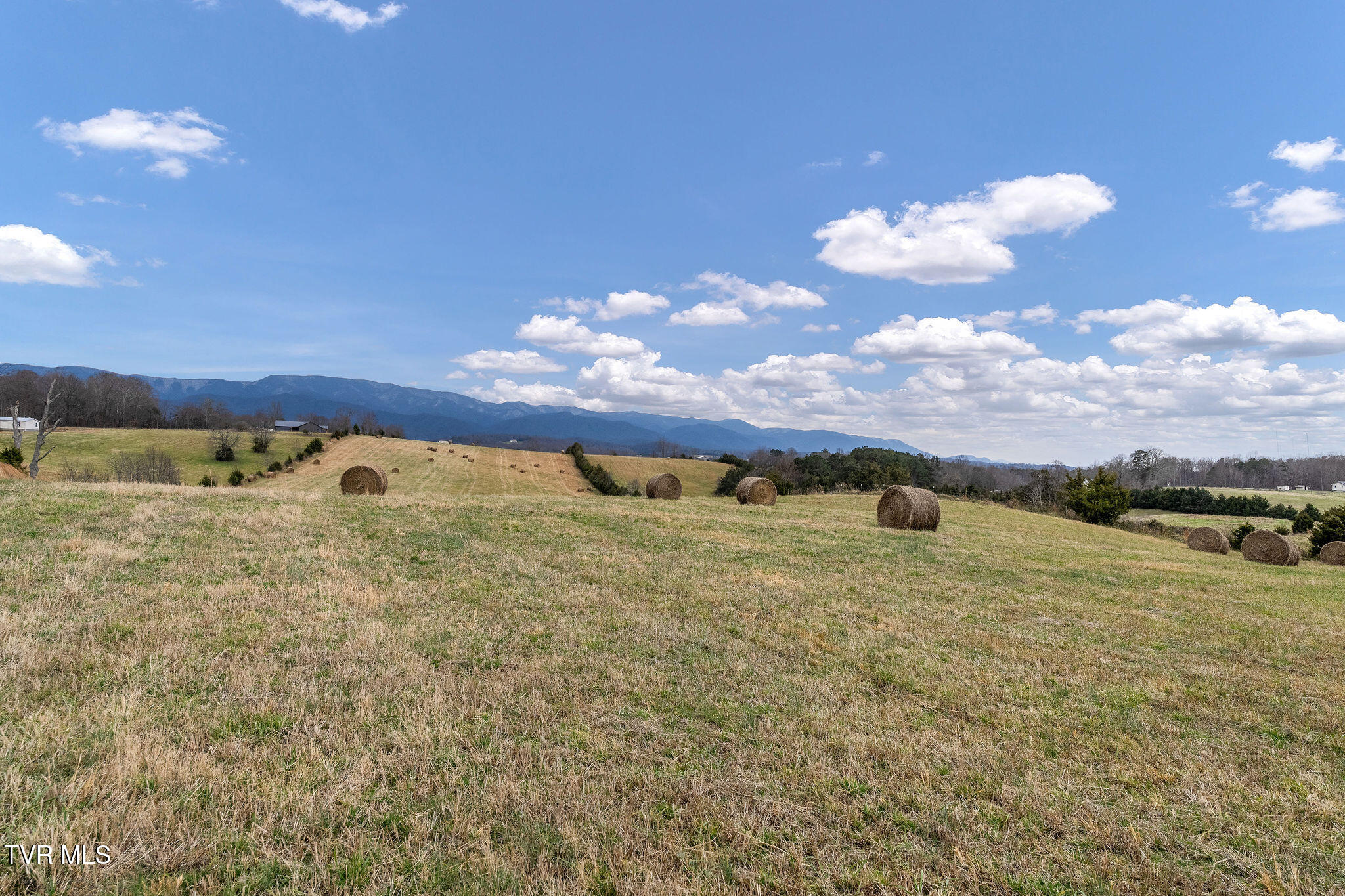 1385 Wilhoit Road Chuckey, TN 37641 - Photo 133 of 135 DSC04141