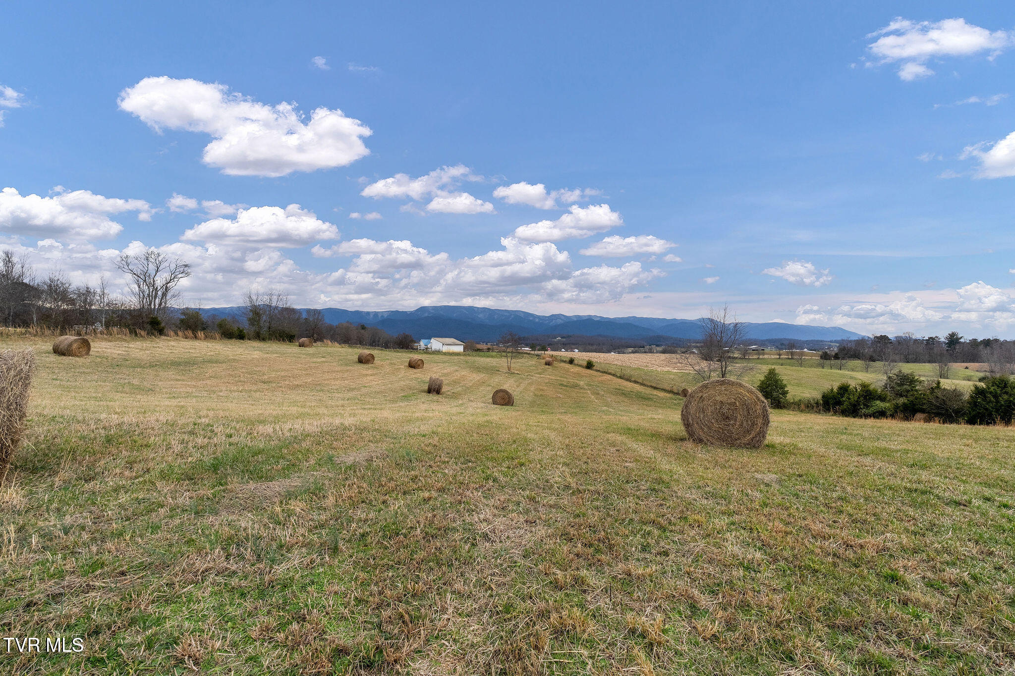 1385 Wilhoit Road Chuckey, TN 37641 - Photo 134 of 135 DSC04142