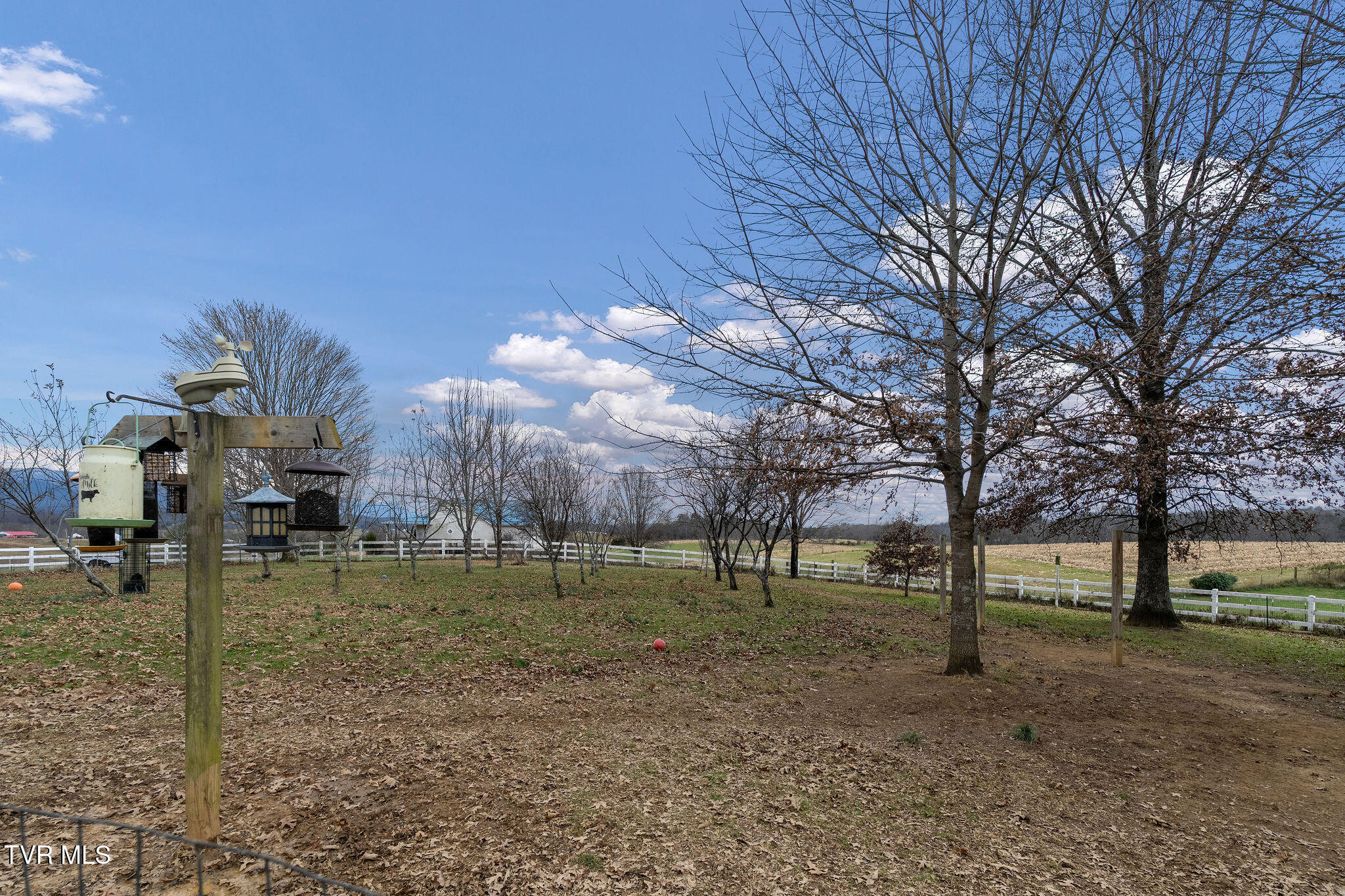 1385 Wilhoit Road Chuckey, TN 37641 - Photo 81 of 134 DSC04115