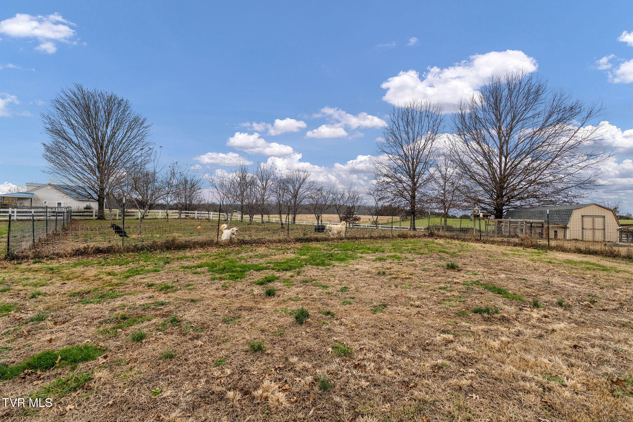 1385 Wilhoit Road Chuckey, TN 37641 - Photo 82 of 134 DSC04099
