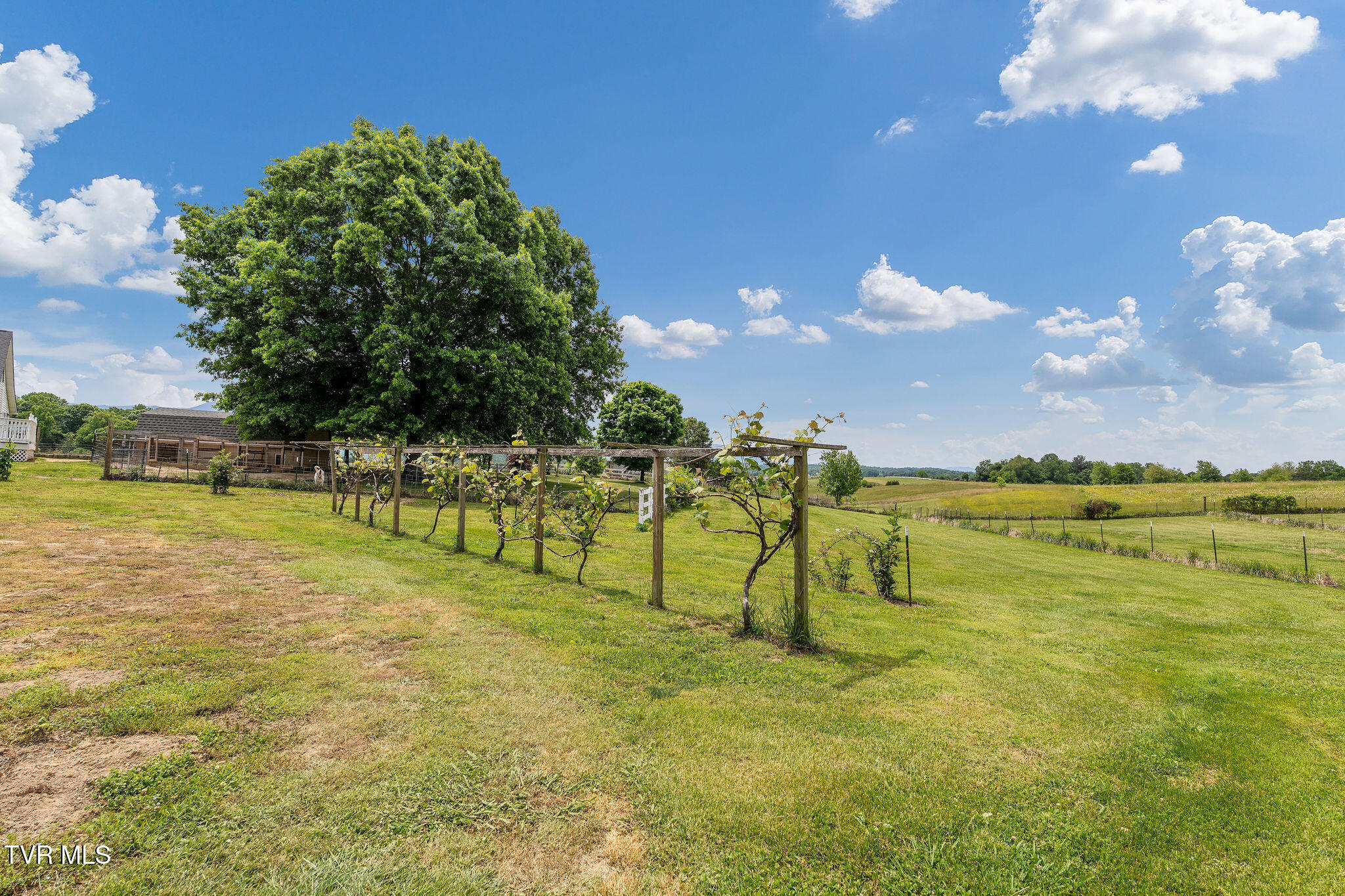 1385 Wilhoit Road Chuckey, TN 37641 - Photo 92 of 126 DSC08870