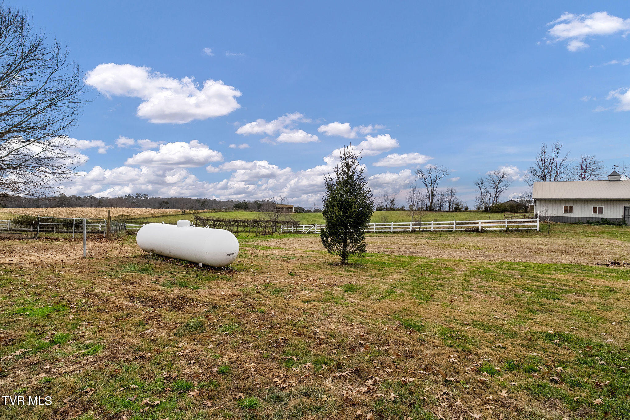 1385 Wilhoit Road Chuckey, TN 37641 - Photo 92 of 135 DSC04100