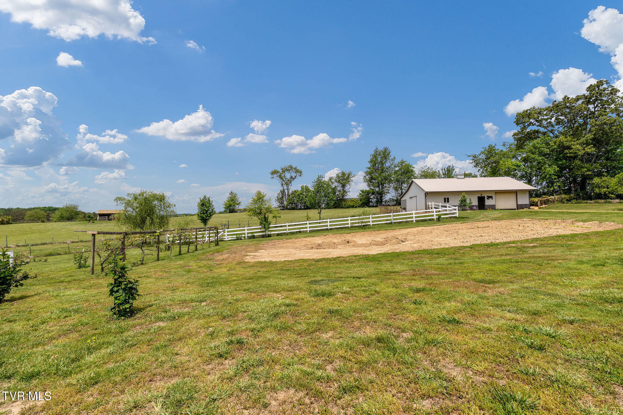 1385 Wilhoit Road Chuckey, TN 37641 - Photo 93 of 126 DSC08885
