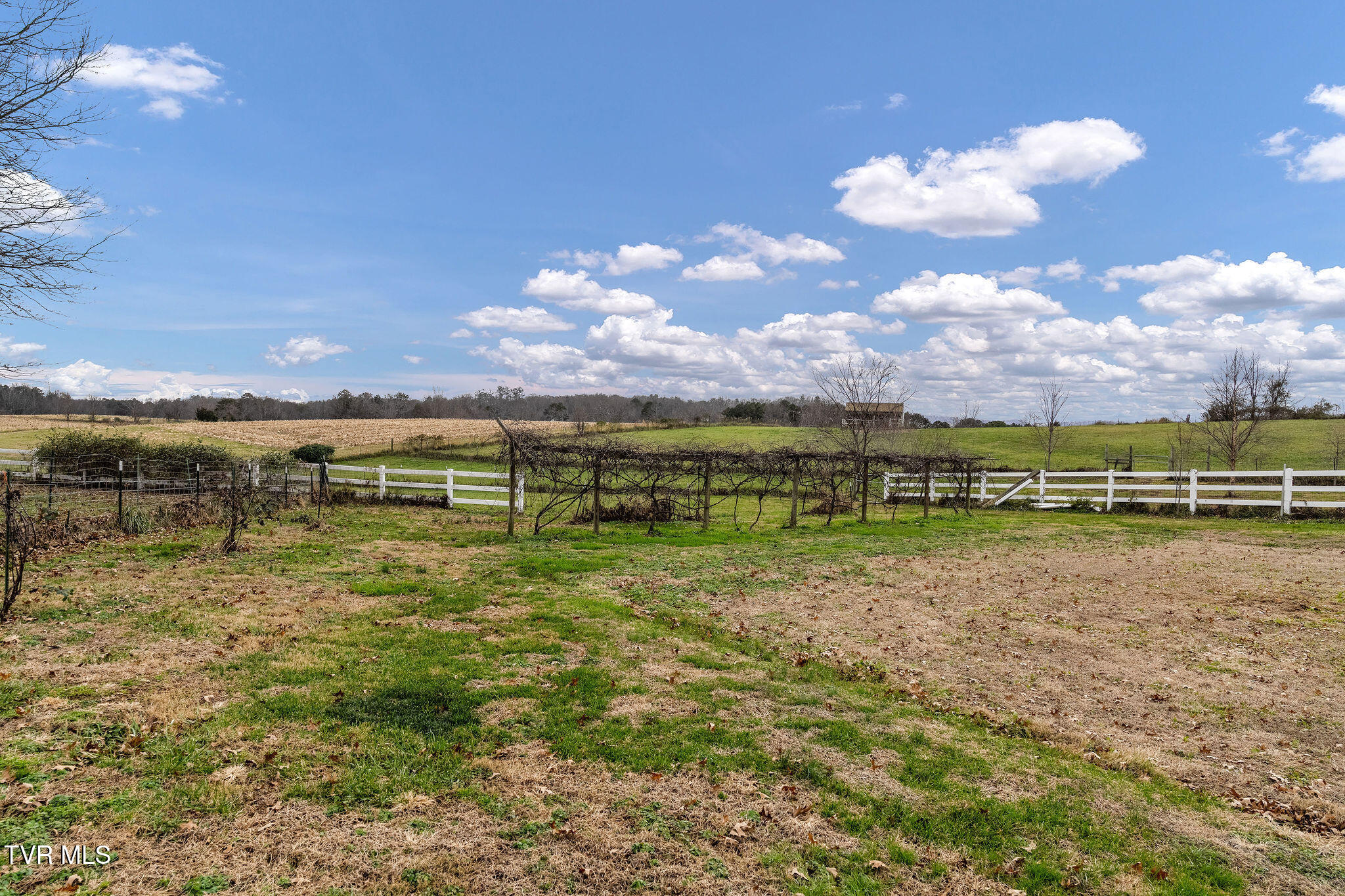 1385 Wilhoit Road Chuckey, TN 37641 - Photo 93 of 135 DSC04103