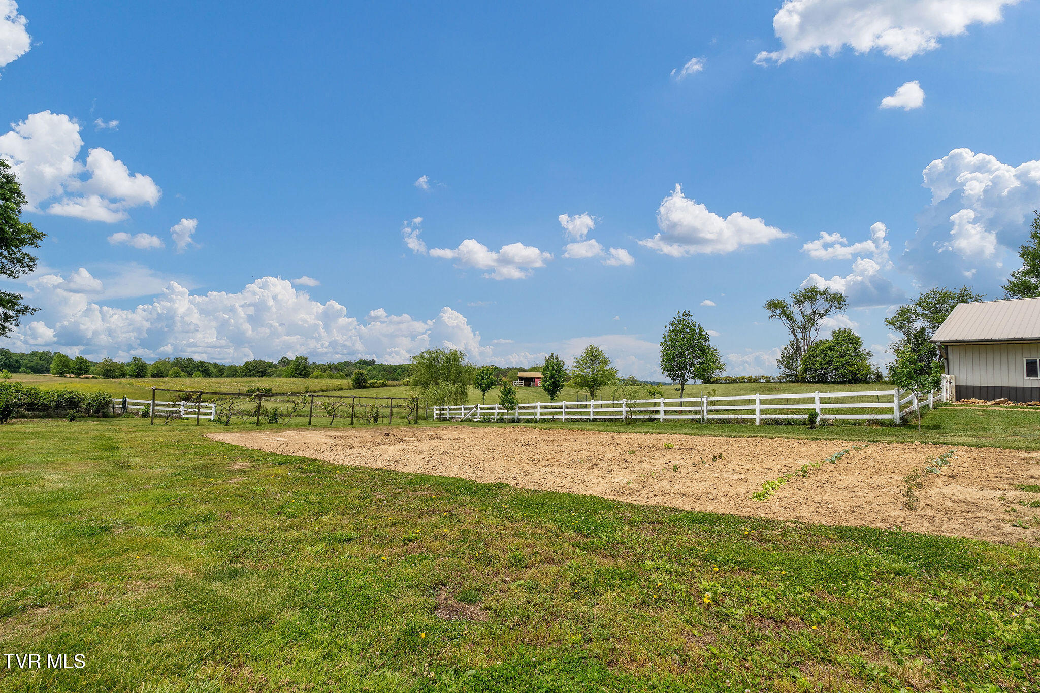 1385 Wilhoit Road Chuckey, TN 37641 - Photo 94 of 126 DSC08866