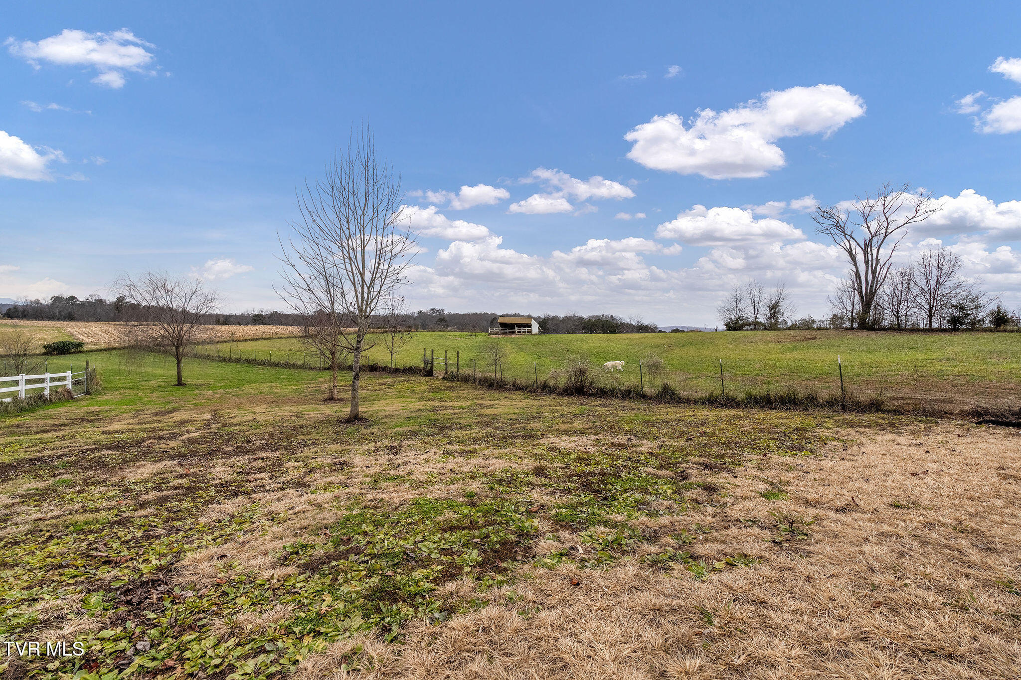 1385 Wilhoit Road Chuckey, TN 37641 - Photo 94 of 134 DSC04137