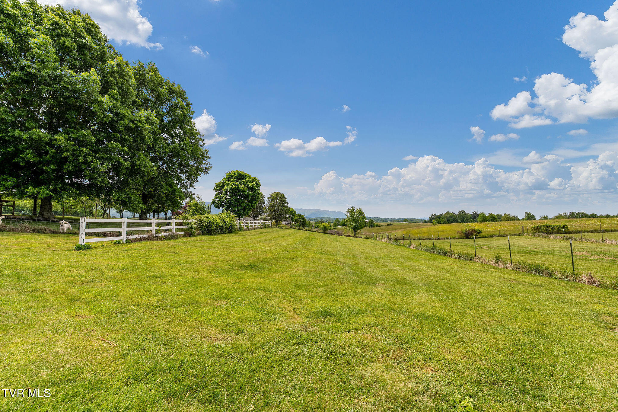 1385 Wilhoit Road Chuckey, TN 37641 - Photo 96 of 126 DSC08871