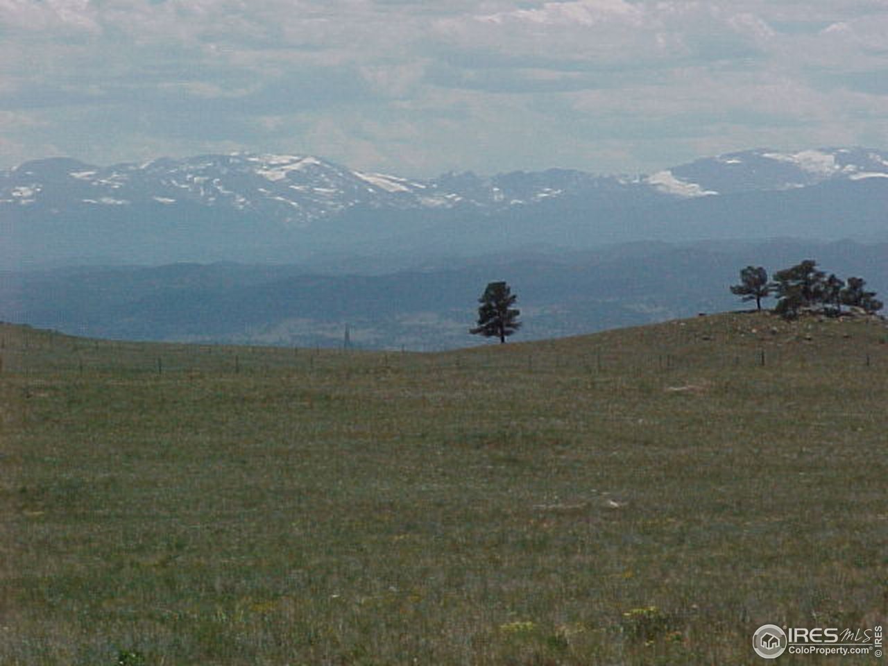 8919 Old Ranch Road Livermore, CO 80536 - Photo 3 of 17 Gallery Image 3