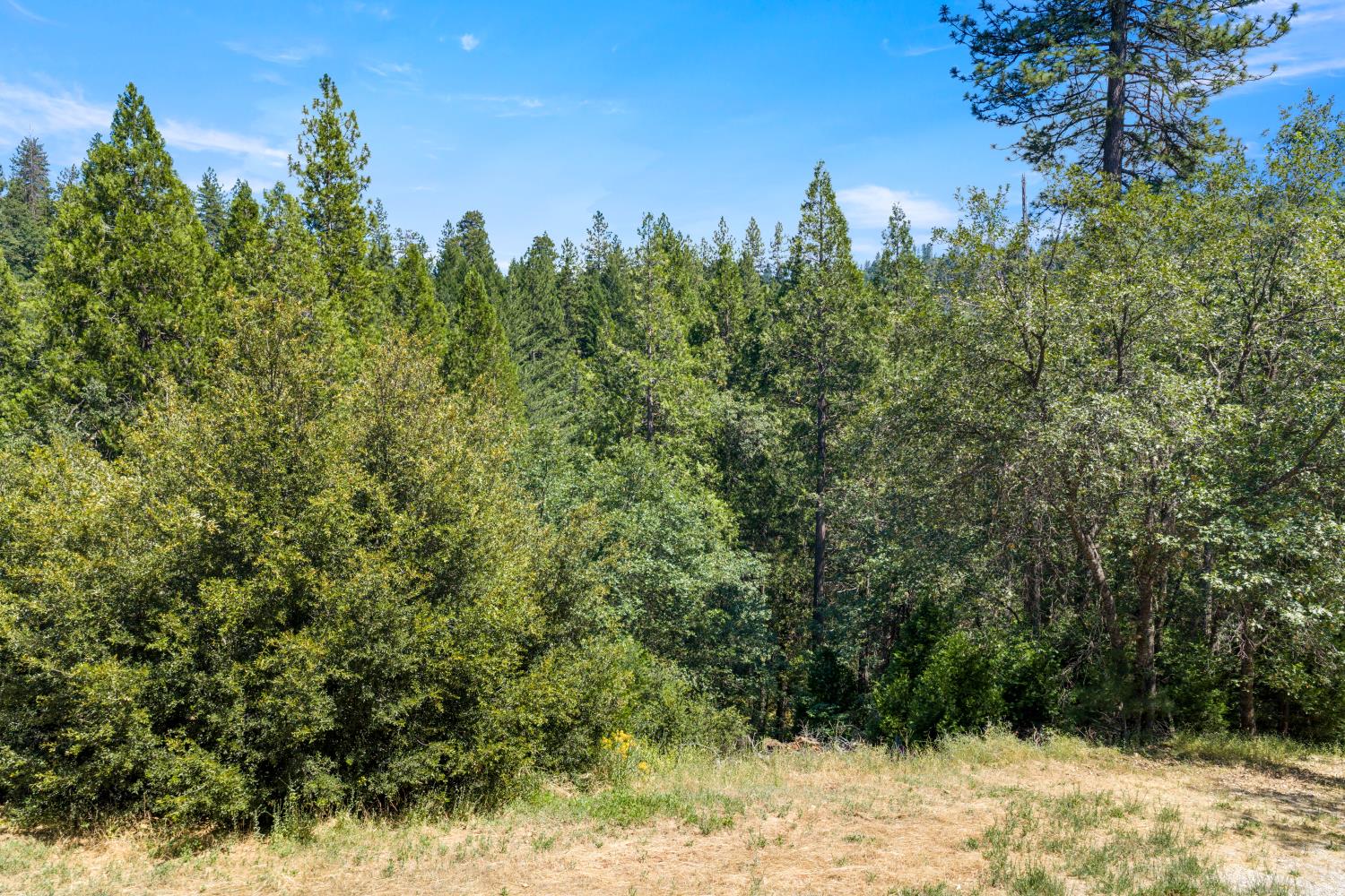 0 Meyers Road Camino, CA 95709 - Photo 15 of 28