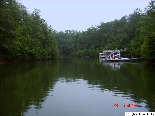 Dogwood Ridge, Unit 5 Wedowee, AL 36278 - Photo 1 of 3