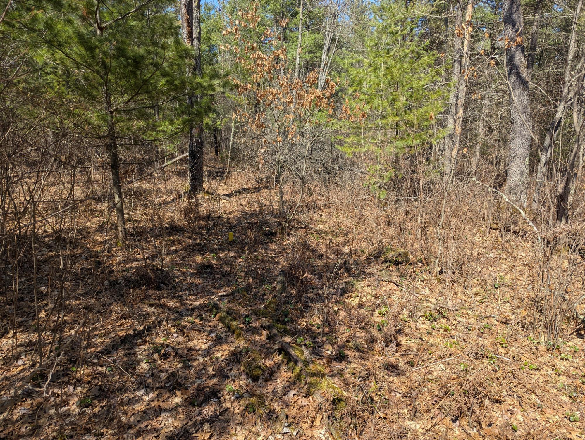 Off North Hunter Lake Road Conover, WI 54519 - Photo 7 of 11 Gallery Image 7