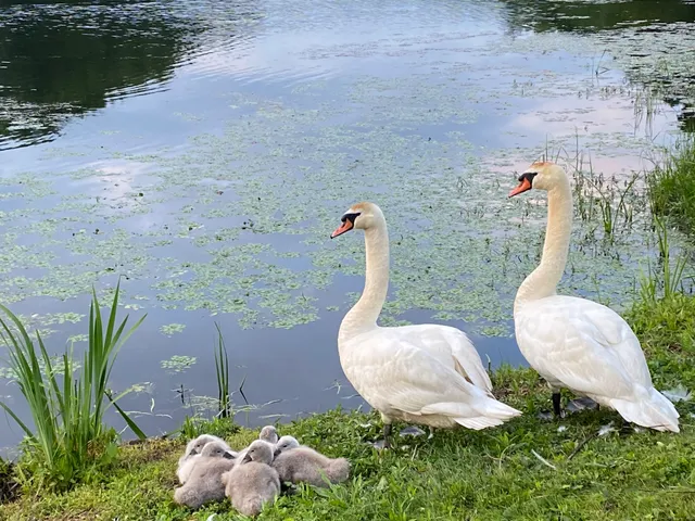 a view of a outdoor space
