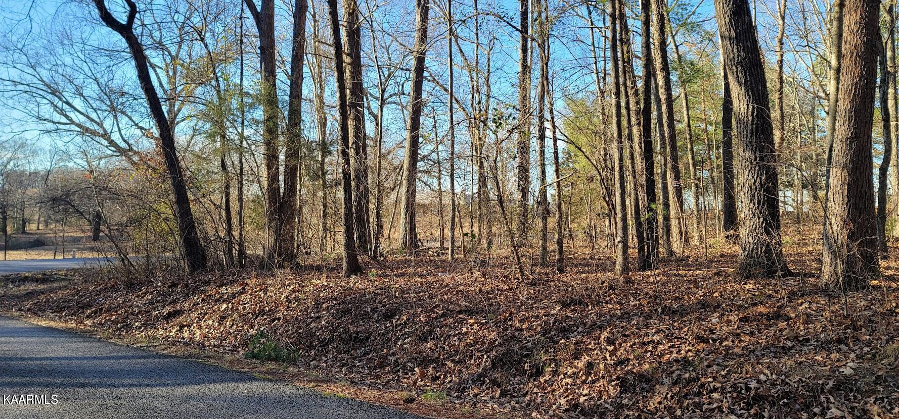 Lot 9 Mountain View Road Benton, TN 37307 - Photo 1 of 9 lot-6-2