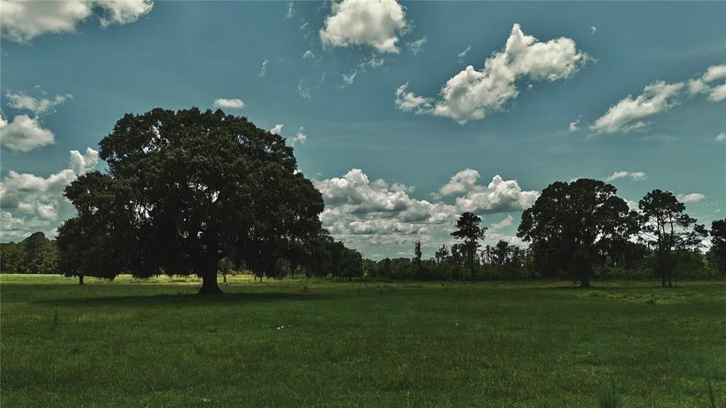 4802 Northwest 50th Road Starke, FL 32091 - Photo 34 of 75 Gallery Image 34