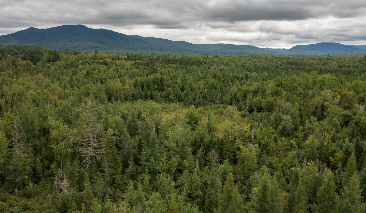 82 Colby Road, Unit 4 Whitefield, NH 03598 - Photo 2 of 11