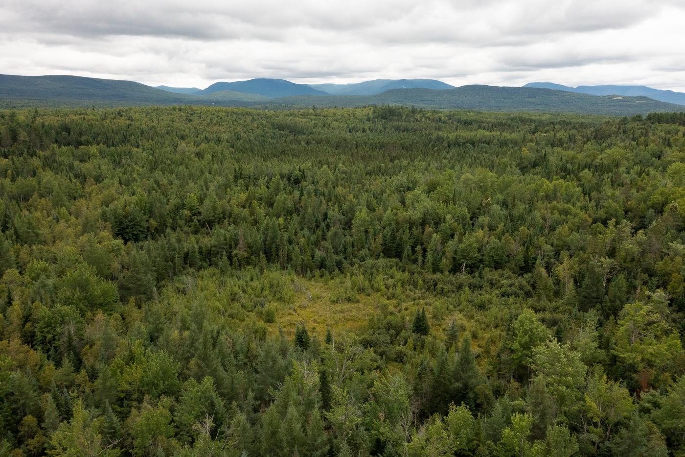 82 Colby Road, Unit 4 Whitefield, NH 03598 - Photo 5 of 11